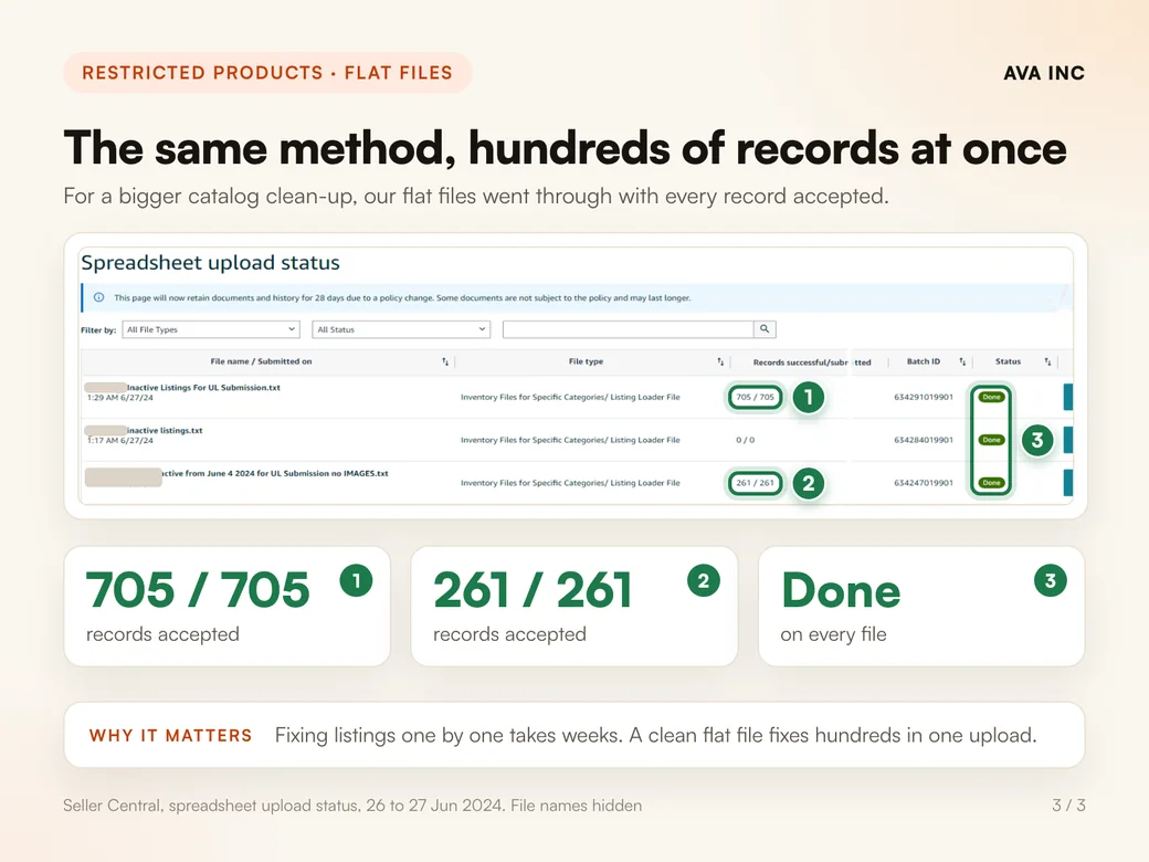 The same method, hundreds of records at once. For a bigger catalog clean-up, our flat files went through with every record accepted.