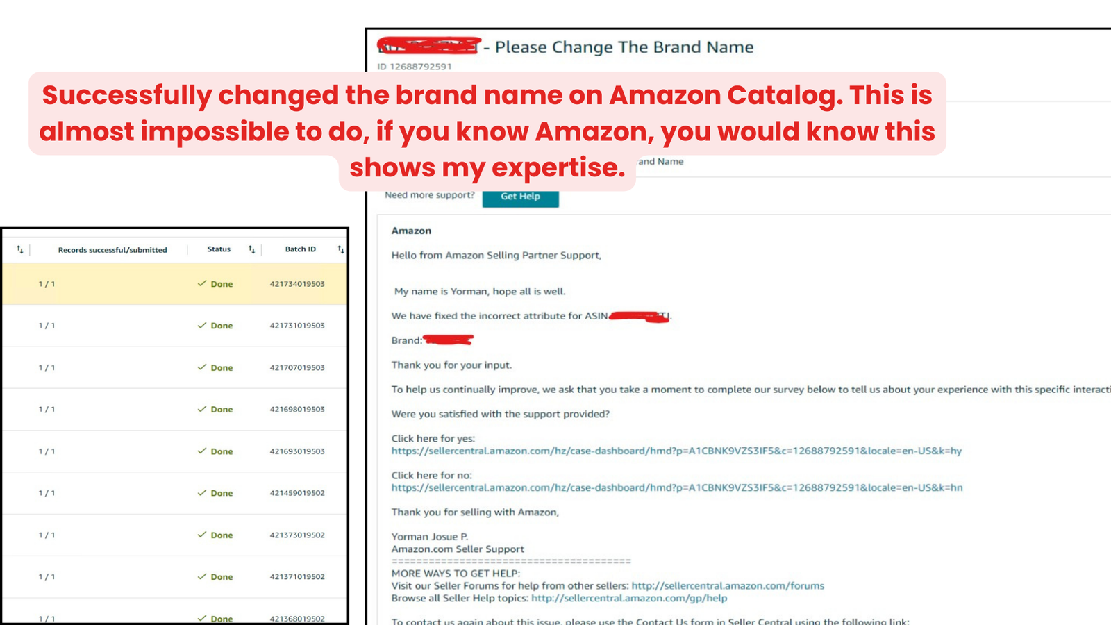 Amazon Listing Brand Name Change